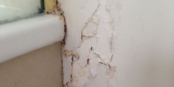 How to Detect and Fix a Bathroom Leak